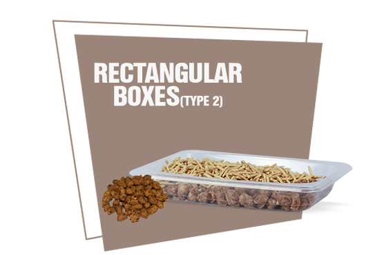 Disposable Rectangular Boxes (Type2)